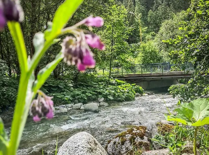 Tatrystay Riverstone Chalet